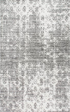 Load image into Gallery viewer, nuLOOM Deedra 3' x 5' Area Rug in Grey
